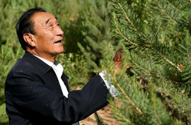 石光銀：誓將沙漠變綠洲